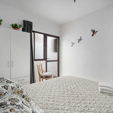 Paradise - Эль-Медано